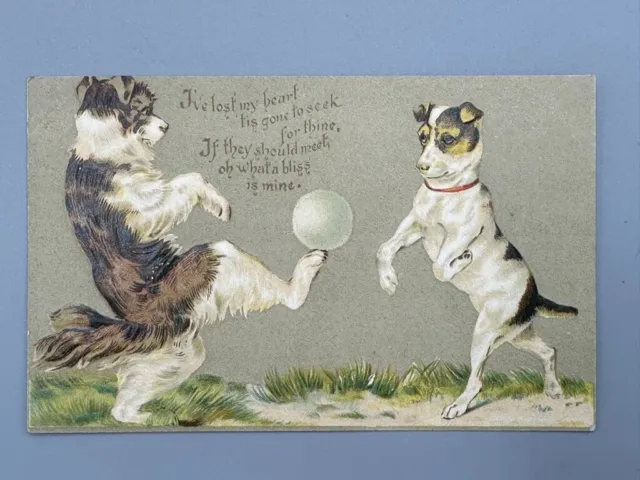 c 1905 DOGS PLAYING BALL Romantic VALENTINE Heart Antique Postcard