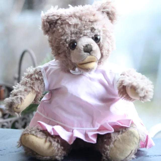 Steiff Teddy Bär m Knopf & Puppenkleidung trousseau antique Steiff Teddy Bear