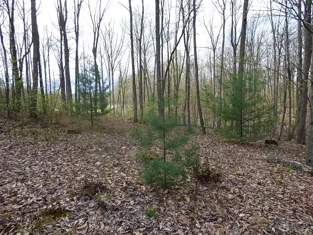 NO RESERVE! 13th FAIRWAY CUL DE SAC LOT IN GOLF RESORT!