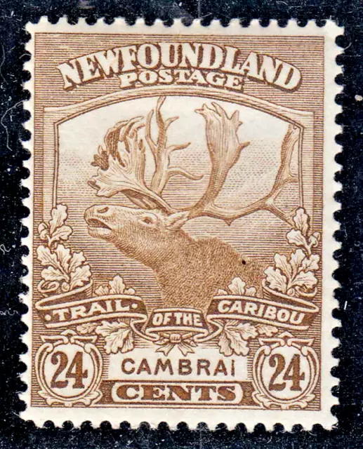 NEWFOUNDLAND  1919 24c BISTRE TRAIL OF THE CARIBOU ISSUE CAMBRAI  MPH    # 125