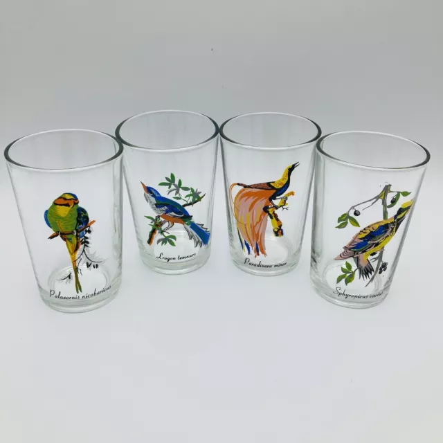 Vintage MCM KIG Malaysia Drinking Glasses Tumblers Exotic Tropical Birds Set 4
