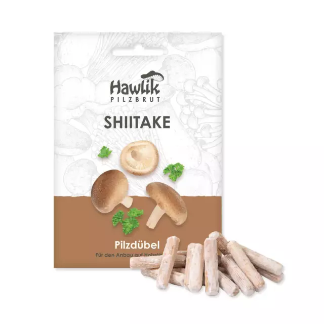 Shiitake Dübel, Hawlik Pilzbrut, Pilzzucht auf Holz, Shiitake Pilze züchten