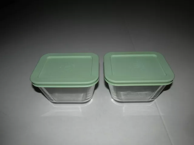 Martha Stewart MSE Lg. 3.2 L Hard Plastic Storage Container pinch top Green