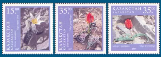 Kasachstan Kazakhstan 1997 Michel-Nr. 182-184 Tulpen Blumen Postfrisch ** MNH