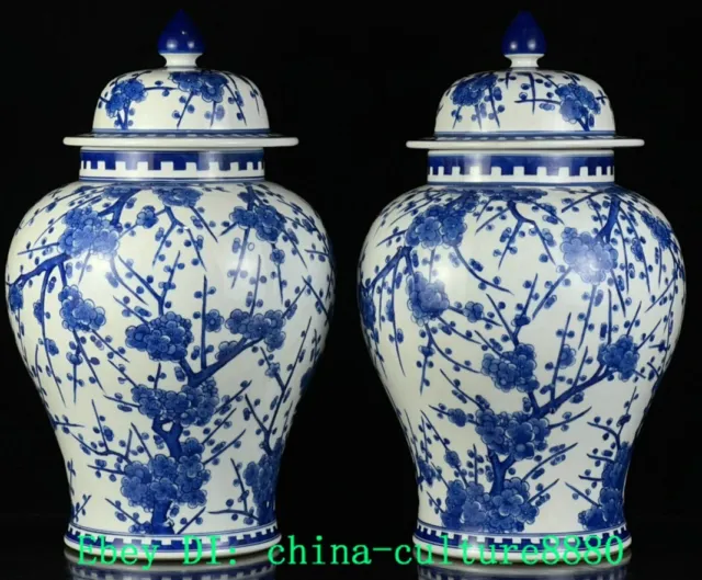 13.7 "paire de pot de prunier en porcelaine Qing Kangxi
