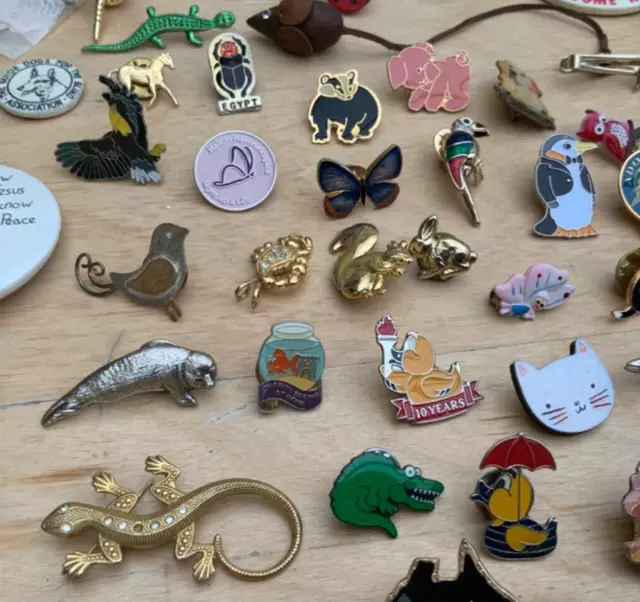 Job Lot of 293 Wildlife Pin Badges Animals Birds RSPB WWF Bundle Assorted Mixed