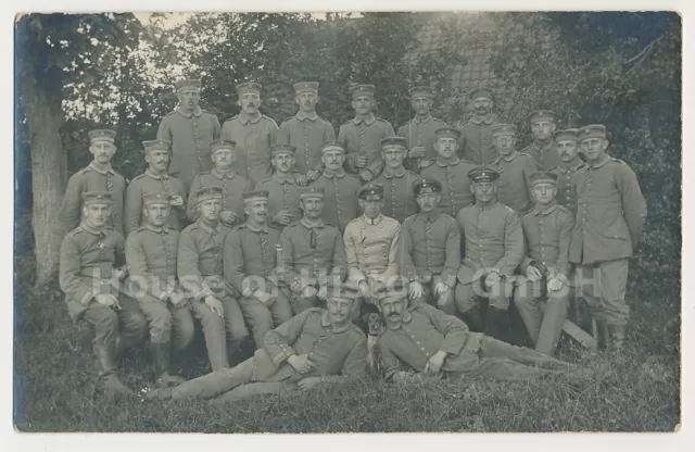 120456 Portraitfoto / Gruppenfoto, Infanterie Regiment Nr. 164, IR 164 Offizier
