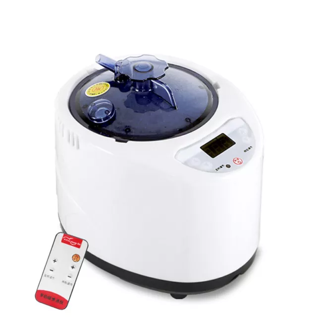 2.6L Sauna SPA Steamer Home Portable Fumigation Therapy Steam Machine 220V