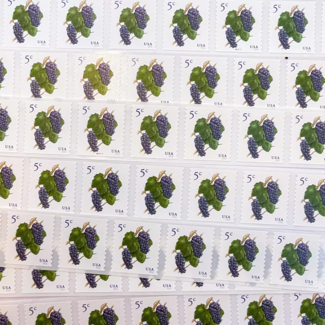 US # 5038 (2016) 5c Grapes - 100 Stamps, Single Flat Strip from Coil w PNC#s MNH 3