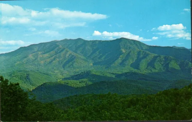 Postcard - Mt. LeConte Great Smoky Mountain National Park Tennessee