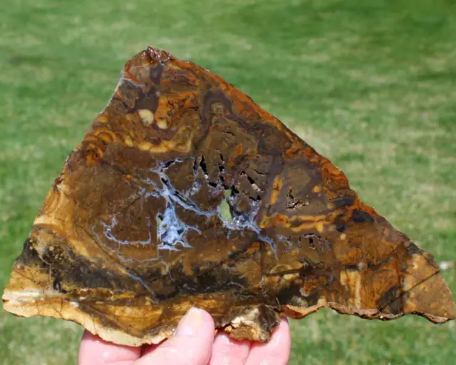 SNAKE VALLEY PICTURE STONE SLAB 250 grams Rock/Cab/rough/mineral/jasper/agate