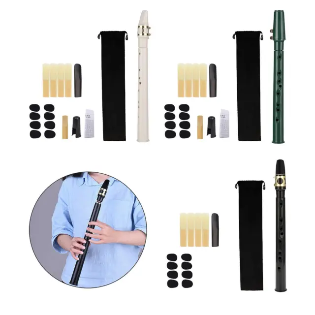 Acheter Saxophone de poche noir Mini Saxophone Portable clé C petit  Saxophone avec sac de transport bois