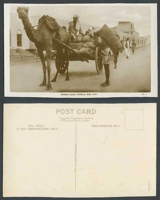 ADEN YEMEN OLD Real Photo Postcard Maala Load Camels Cart Coolie Street