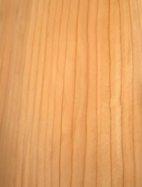 Proveedores, fabricantes, fábrica de madera contrachapada de bambú de 5 mm  - Buen precio - FANDA