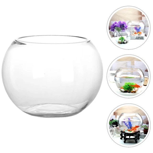 Decorative Betta Tank Delicate Ordinary Glass Office Multi-function Fish Tank