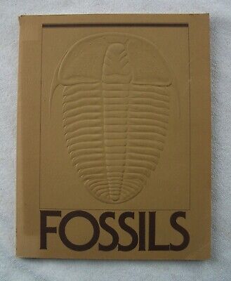 Fossils Magazine, Volume 1, Issue 1. May 1976 Wexo Publishing