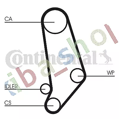 Timing Set Belt + Pulley + Water Pump Fits For Audi 100 C2 100 C3 200 C3 80 B3