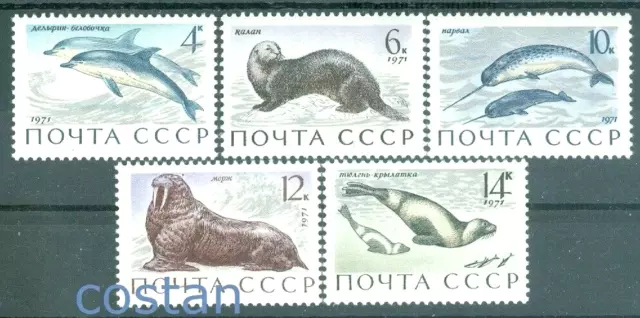 1971 SEA ANIMALS,DOLPHIN,SEA otter,narwhal,walrus,ribbon seal,Russia ...