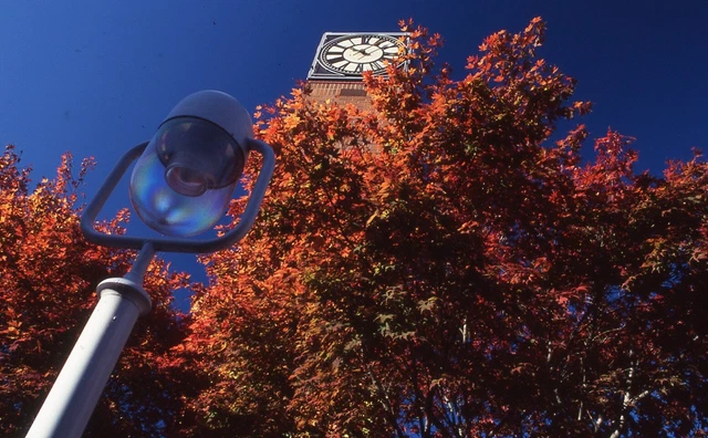 35 MM Color Slides Pro Photo Fall Autumn Red Orange Leaves Clock Tower Abstract