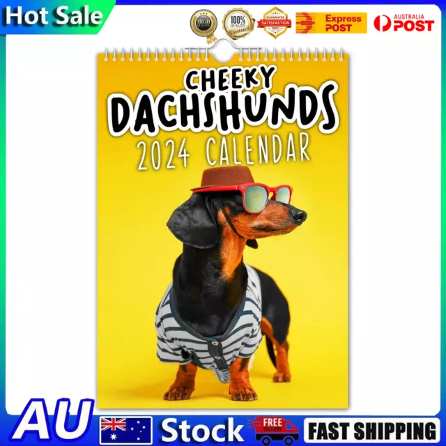 Funny Dog Album Cover Calendar Cheeky Dachshunds -2024 Novelty Dog Calendars AUS