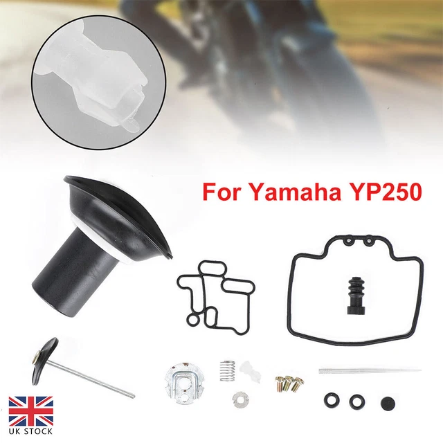 Gruppo Pompa Acqua YP250 | Compatibile Con Majesty 250, XMAX 250, XC 300 E Altri | Ricambio OEM 1C0-E2420-01