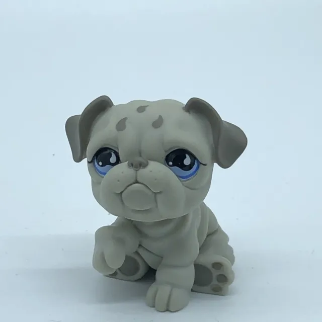 LPS Gray BULLDOG DOG #508 Teardrop Authentic Littlest Pet Shop - Hasbro