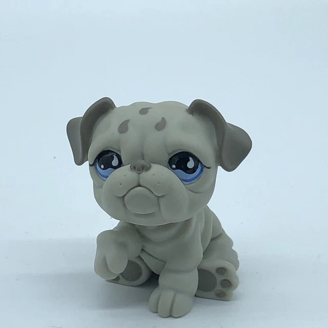 LPS Gray BULLDOG DOG #508 Teardrop Authentic Littlest Pet Shop - Hasbro LPS Gray BULLDOG DOG #508 Teardrop Authentic Littlest Pet Shop - Hasbro