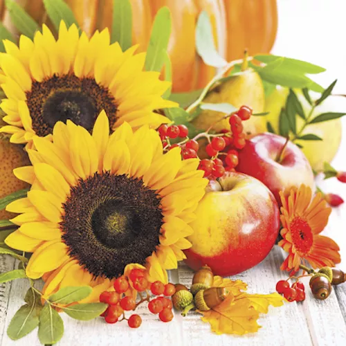 20 Paper Luncheon Napkins Autumn Composition Sunflowers and Apples