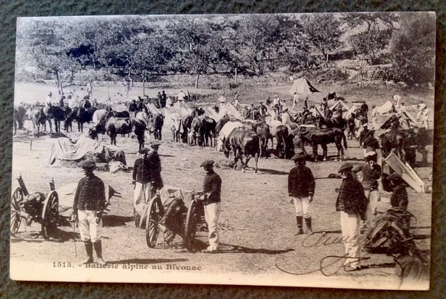 CPA. BATTERIE ALPINE AU BIVOUAC. 1905. Militaires. Chevaux.