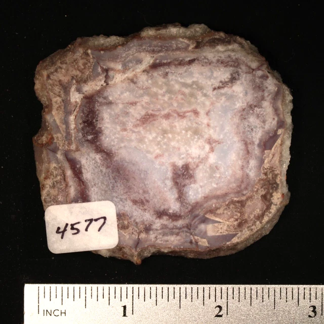 Purple Agate Lapidary Slab #4577