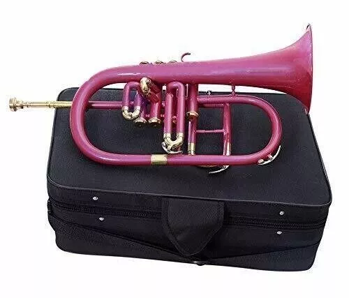 NEW 4 VALVE FLUGEL HORN PINK  BRASS FINISH Bb FLAT FLUGEL HORN WITH FREECASE+M/P