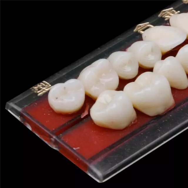 5 Set 24# Dental Teeth Dentures Material Alloy-Pin Porcelain Colors Shade Guide 3