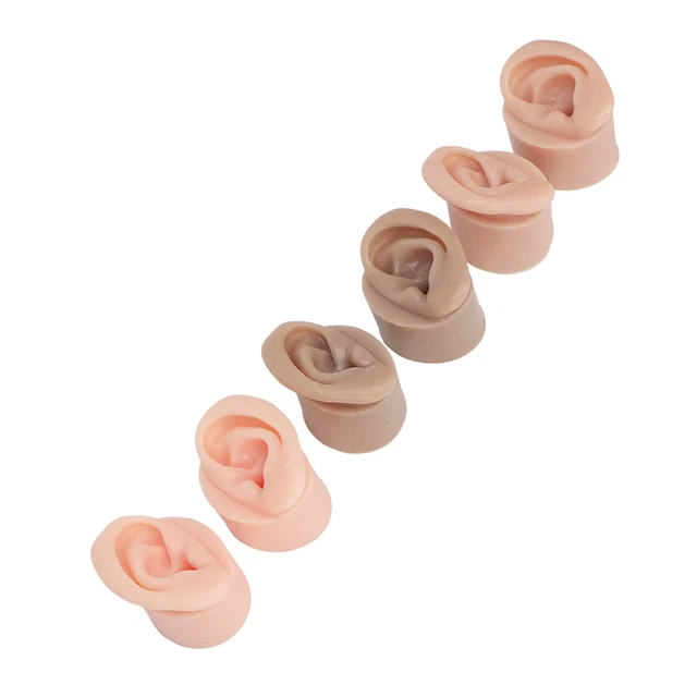 Modèle 'oreille En Silicone Souple Modèle 'affichage 'oreille De Support