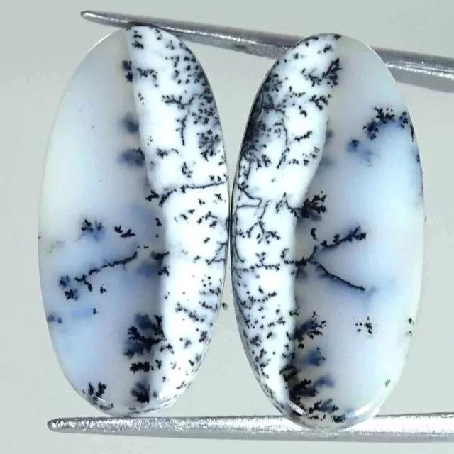 23.90 Cts Natural Dendrite Opal Loose Gemstone Oval Cabochon Pair 13x26x4mm