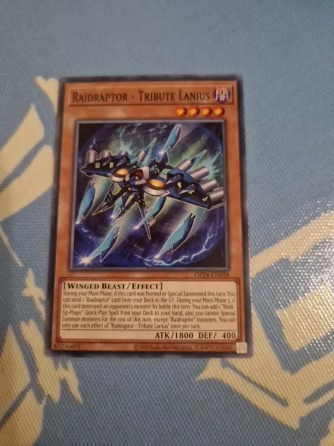 Raidraptor - Tribute Lanius OP24-EN018 Common Near Mint Yugioh