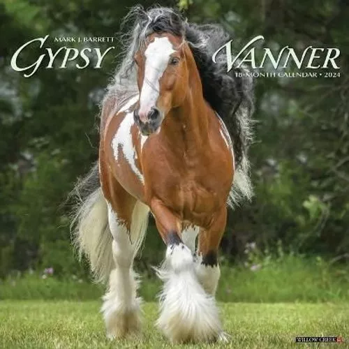 Gypsy Vanner Horse 2024 12 X 12 Wall Calendar 9781549233845 | Brand New