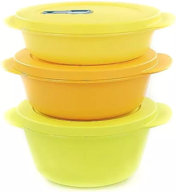 TUPPERWARE SCALDASANO MICROONDE TRASPORTO PRANZO