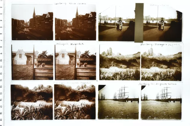 Set Of 11 Views Stereo Format 2 3/8x5 1/8in Views of Denmark Circa 1910