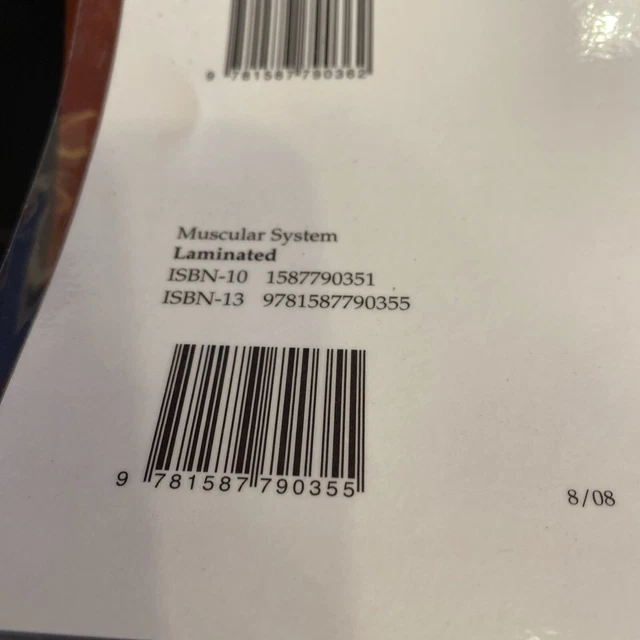 MUSCULAR SYSTEM ANATOMICAL Chart English Anatomical Chart Co. Wallchart