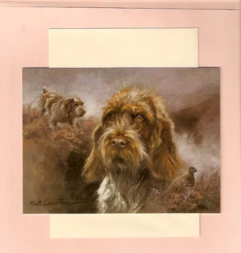 Wire Haired German Pointer Notecards Note Cards by Mick Cawston Pack of 5*