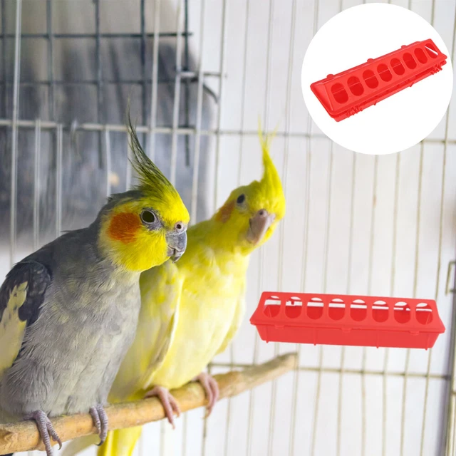 2 PCS Abbeveratoio Per Uccelli Piatti Gabbia All'aperto Serbatoio Di Stoccaggio