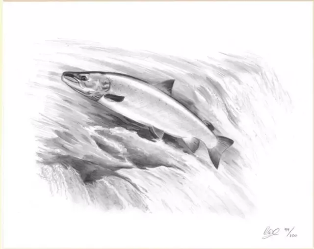 ATLANTIC SALMON FLY Fishing Art Drawing Print Picture Present Gift