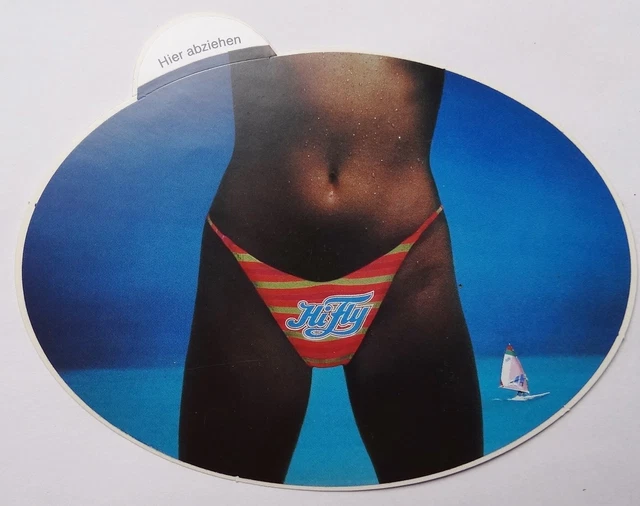WERBEAUFKLEBER HIFLY WINDSURFING SurferGirl 80er Surfbus Surfen