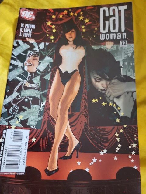 Catwoman (Vol. 3) Issue 72 (2007) DC Comics Adam Hughes Cover Free Shipping!