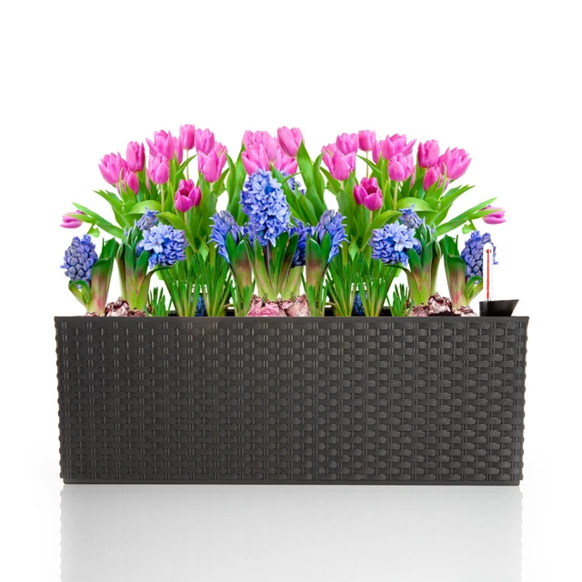 BLUMENKASTEN PFLANZKASTEN BALKONKASTEN Pflanzkübel rechteckig Größe XXL