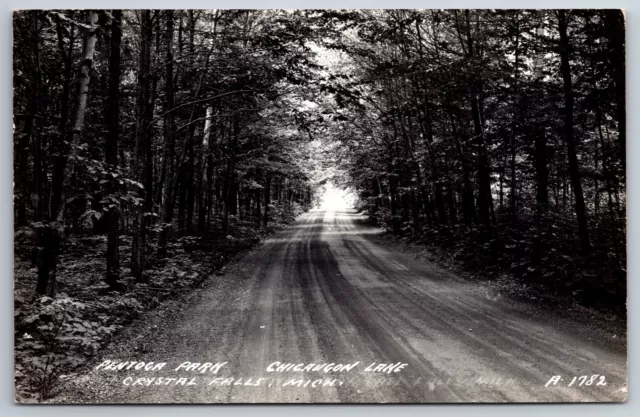 Crystal Falls Michigan~Pentoga Park~Chicaugon Lake Drive~1952 RPPC