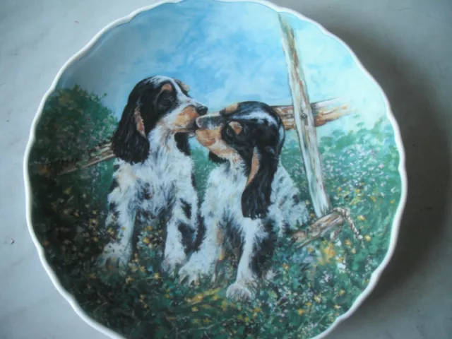 PLAYFUL PUPPIES Springer Spaniels by Royal Albert Plate