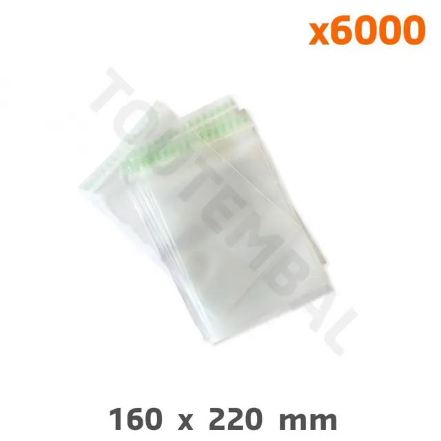 Sachet conditionnement plastique à fermeture adhésive 270 x 380mm