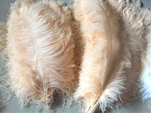 45-50cm Large Quality Champagne Ostrich Feather Long Wedding Party Costume Plume