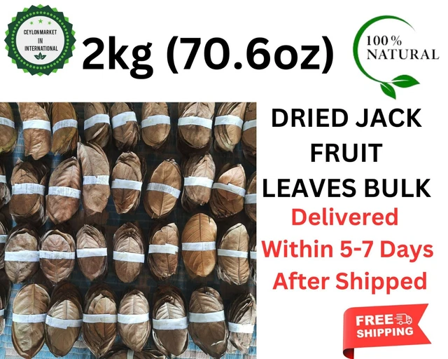 DRIED JACK FRUIT LEAVES Organic Bio Film Shrimp Aquarium Ceylon Natural 2kg/70oz
